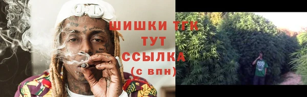 хмурый Вязьма