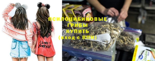 PSILOCYBIN Волосово