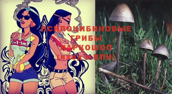 первитин Вязники