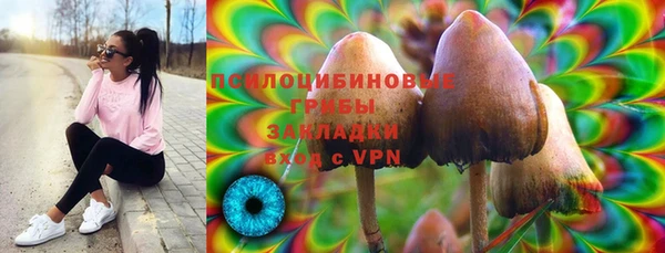 хмурый Вязьма