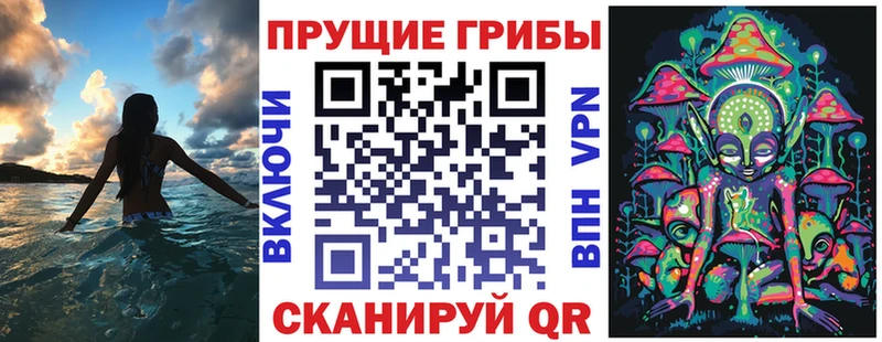 Псилоцибиновые грибы Psilocybe  даркнет сайт  Инта 